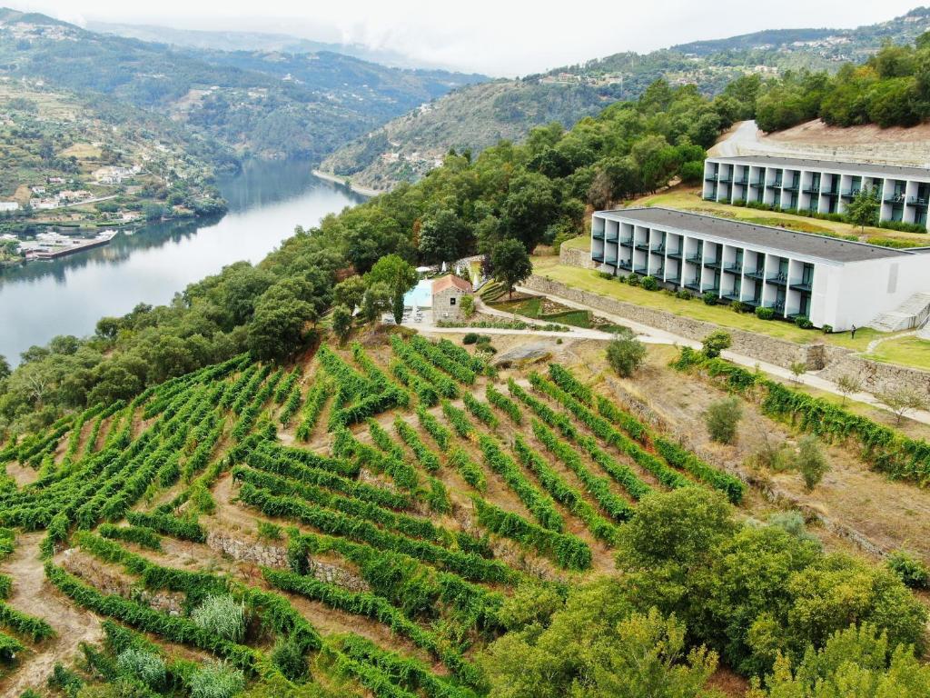 Douro Palace Hotel Resort & SPA - Baião